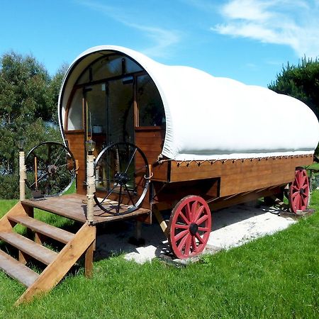 Wacky Stays - Unique Farm-Stay Glamping Rentals, Free Animal Feeding Tours Kaikoura Kültér fotó