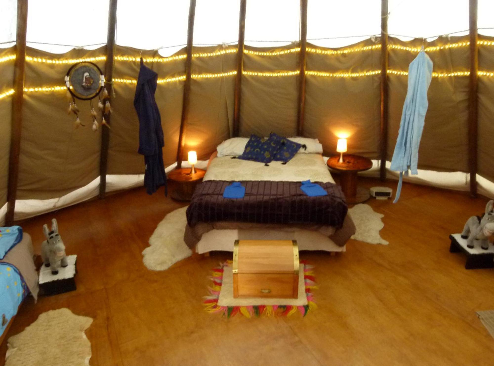 Wacky Stays - Unique Farm-Stay Glamping Rentals, Free Animal Feeding Tours Kaikoura Kültér fotó