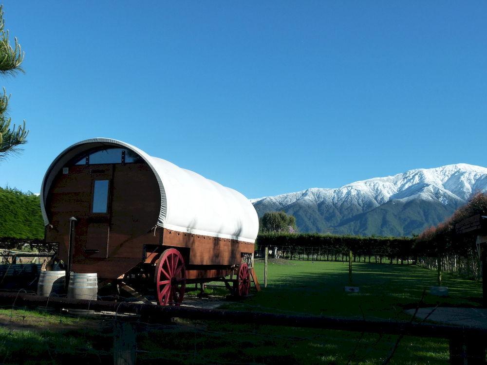 Wacky Stays - Unique Farm-Stay Glamping Rentals, Free Animal Feeding Tours Kaikoura Kültér fotó
