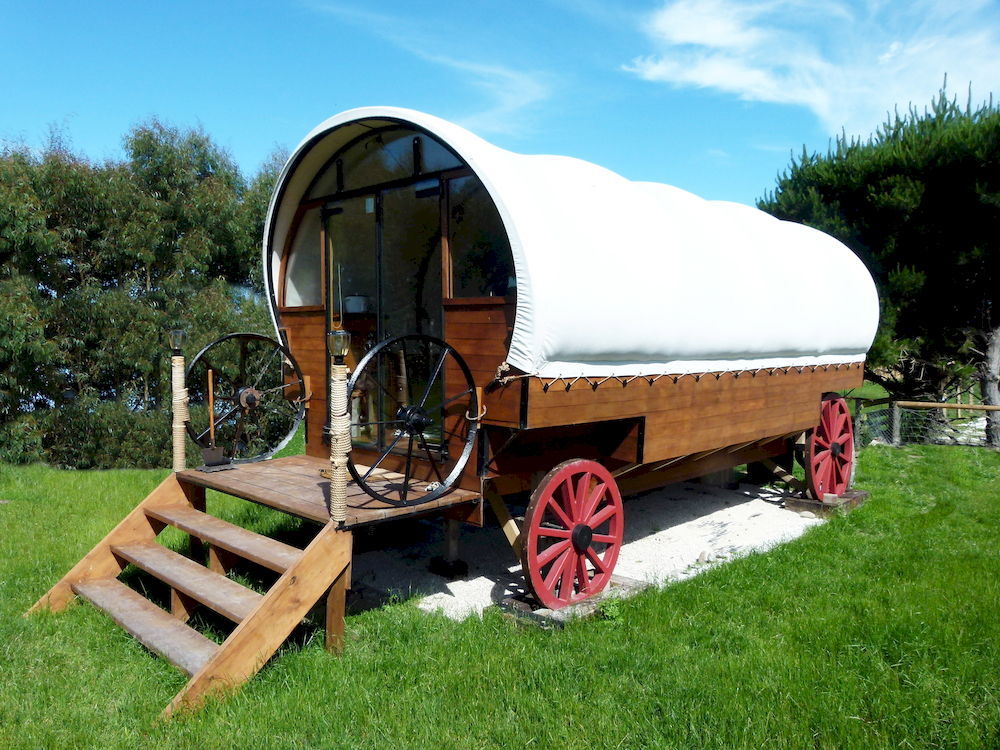 Wacky Stays - Unique Farm-Stay Glamping Rentals, Free Animal Feeding Tours Kaikoura Kültér fotó