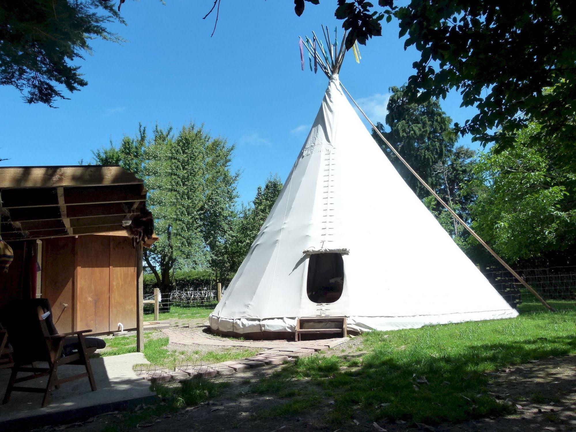 Wacky Stays - Unique Farm-Stay Glamping Rentals, Free Animal Feeding Tours Kaikoura Kültér fotó