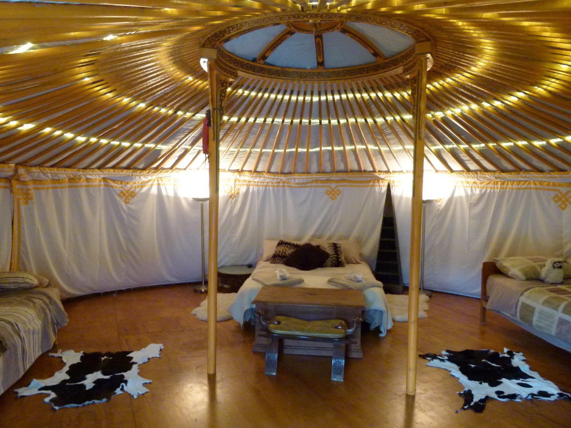 Wacky Stays - Unique Farm-Stay Glamping Rentals, Free Animal Feeding Tours Kaikoura Kültér fotó