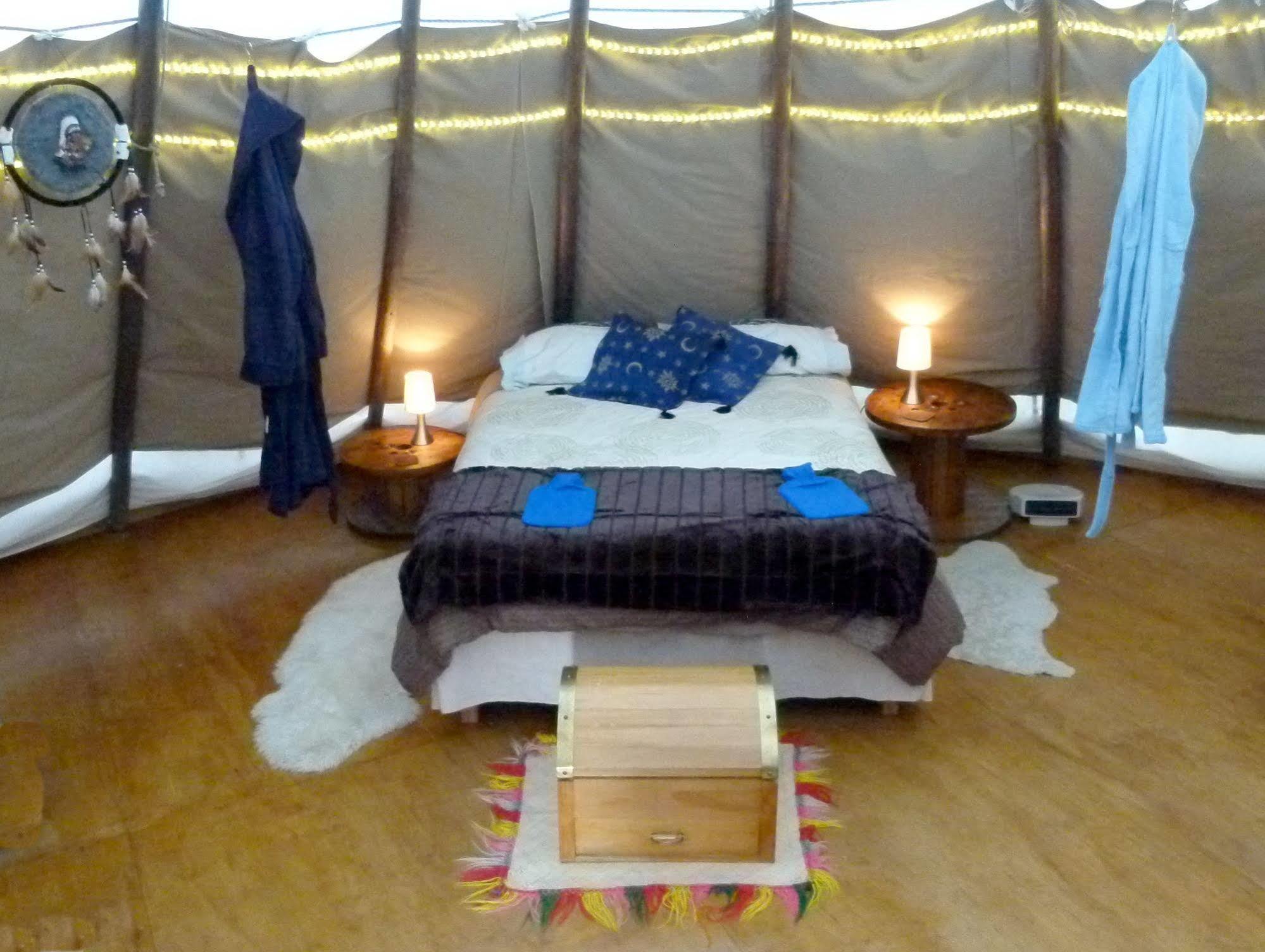 Wacky Stays - Unique Farm-Stay Glamping Rentals, Free Animal Feeding Tours Kaikoura Kültér fotó