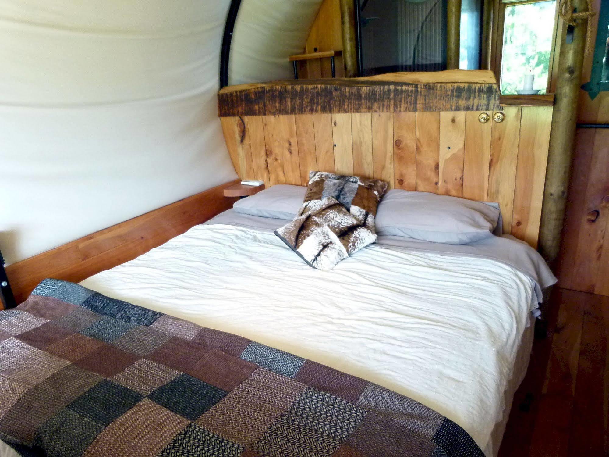 Wacky Stays - Unique Farm-Stay Glamping Rentals, Free Animal Feeding Tours Kaikoura Kültér fotó