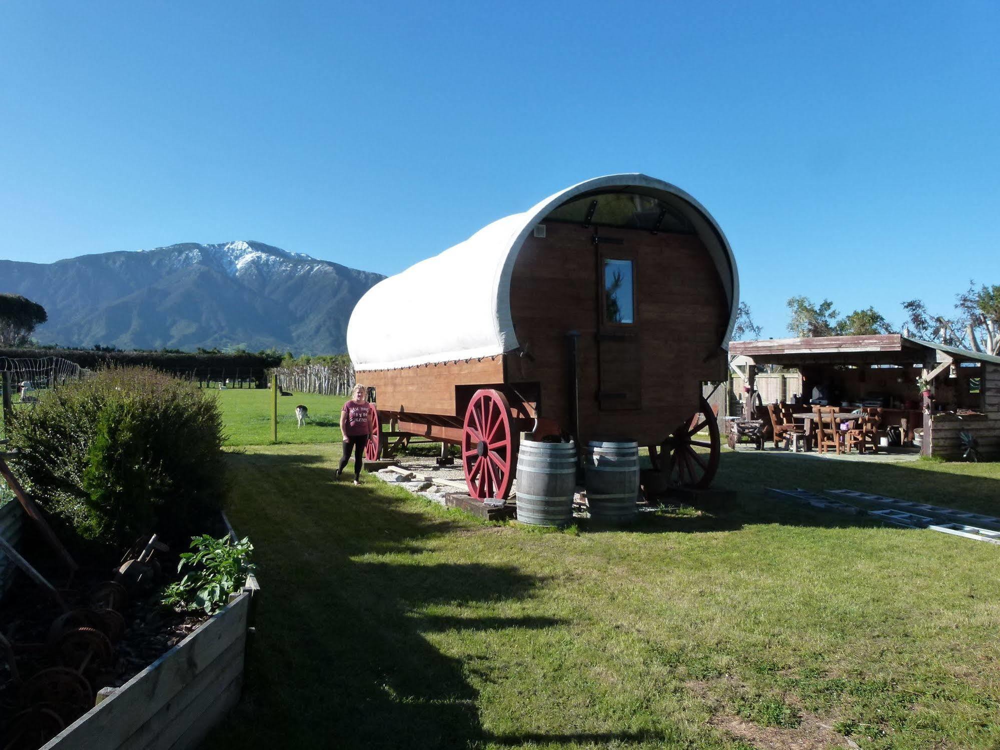 Wacky Stays - Unique Farm-Stay Glamping Rentals, Free Animal Feeding Tours Kaikoura Kültér fotó